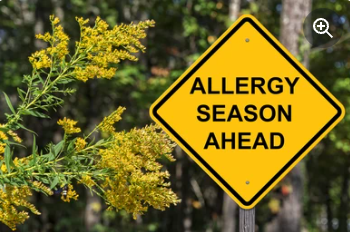 Achoo! It’s Allergy Season