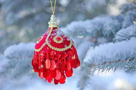 Christmas ornament hanging on tree.
Photo Credit: Flickr