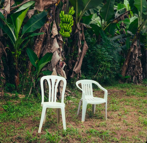 Bad Bunny’s newest album cover.
