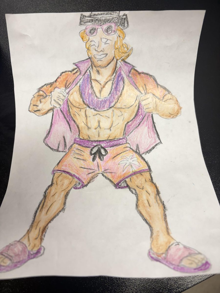 Made By Hayley Lamboy-Poll